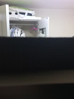 变tai房东趴窗偷窥美女房客洗澡前全裸打电话浴后对着风扇吹穴骚货下面毛挺多的